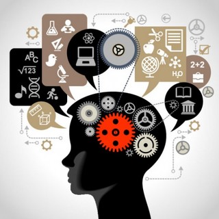 thinking-brain-image----vector-material_34-57772.jpg