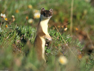 l201302081000.jpg